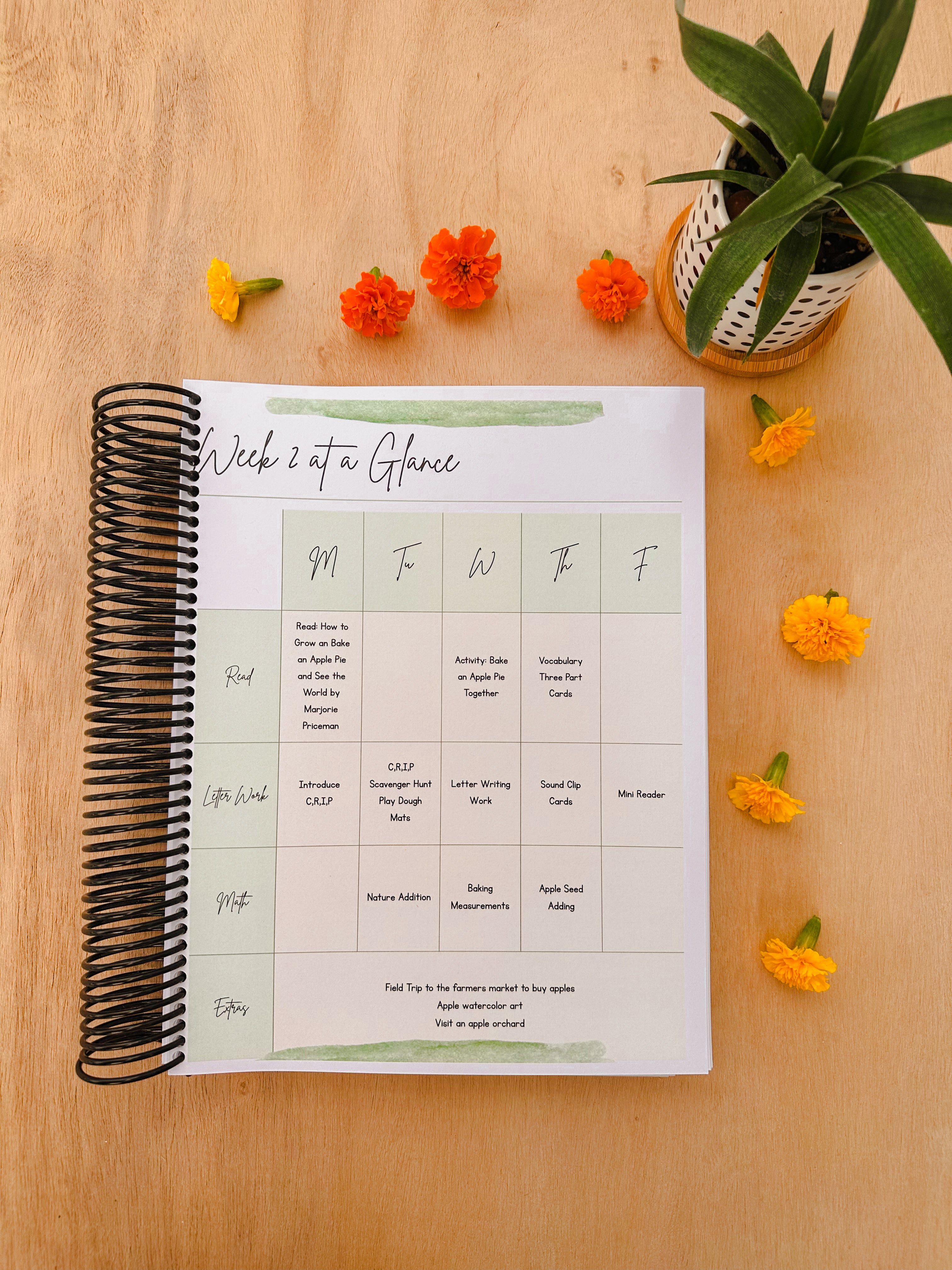September Digital Curriculum