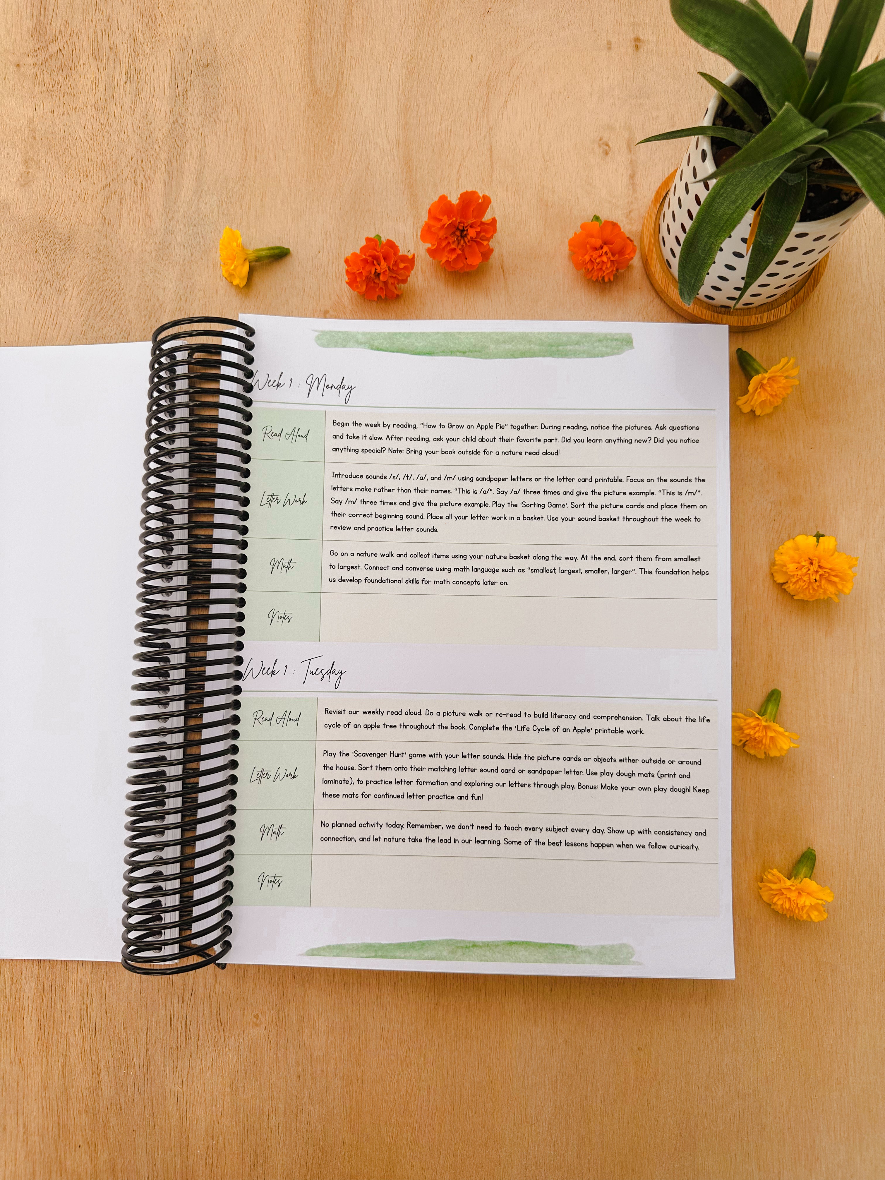 September Digital Curriculum