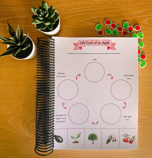 All About Apples: Thematic Curriculum August / September