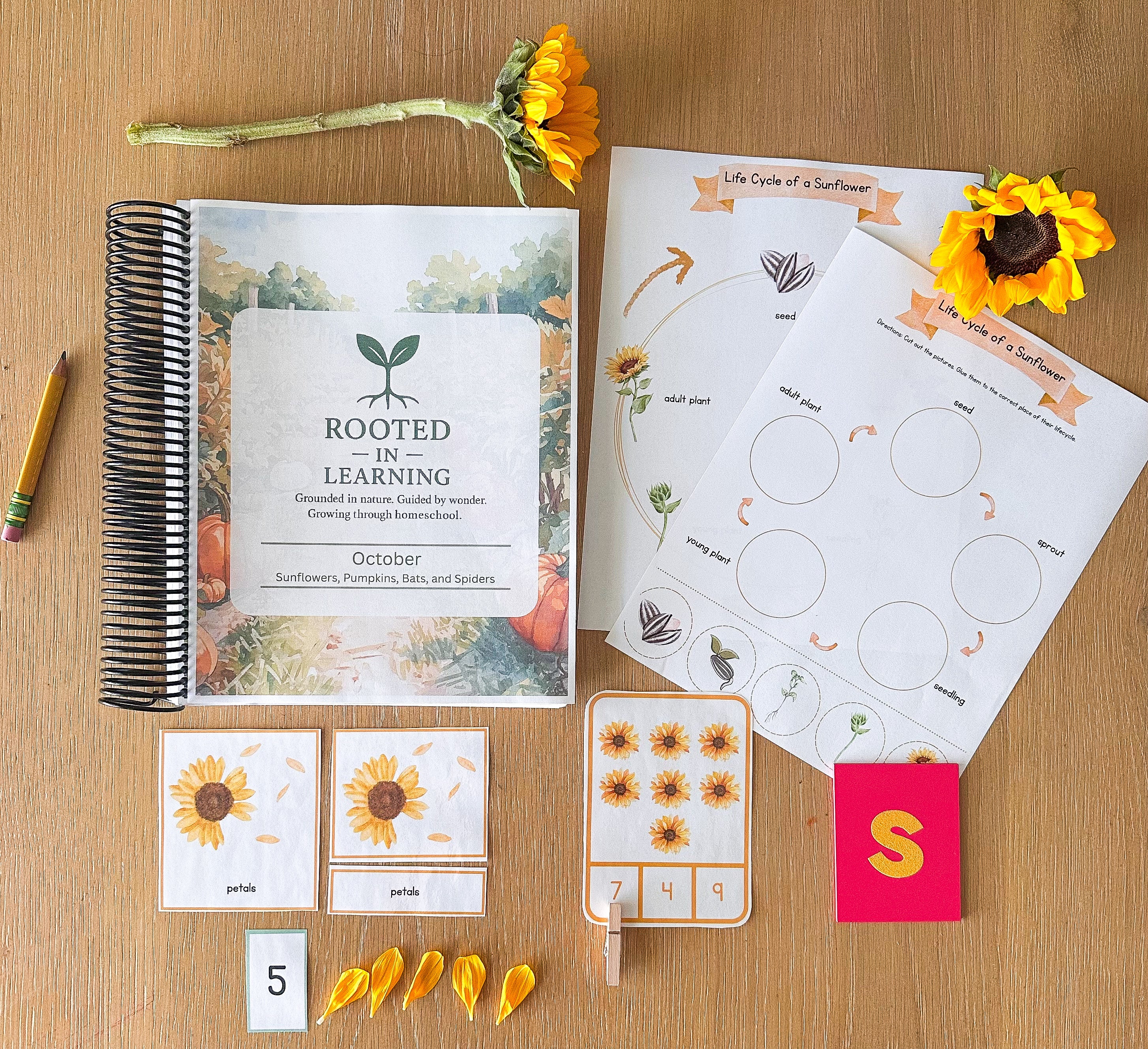 Rooted in Learning: October Curriculum