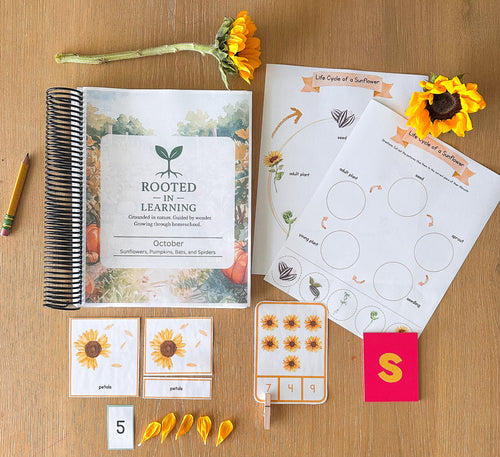 Rooted in Learning: October Curriculum