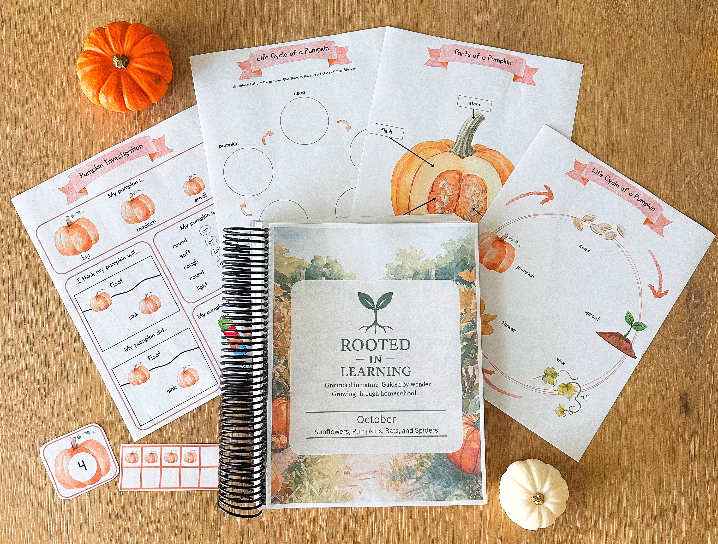 Rooted in Learning: October Curriculum