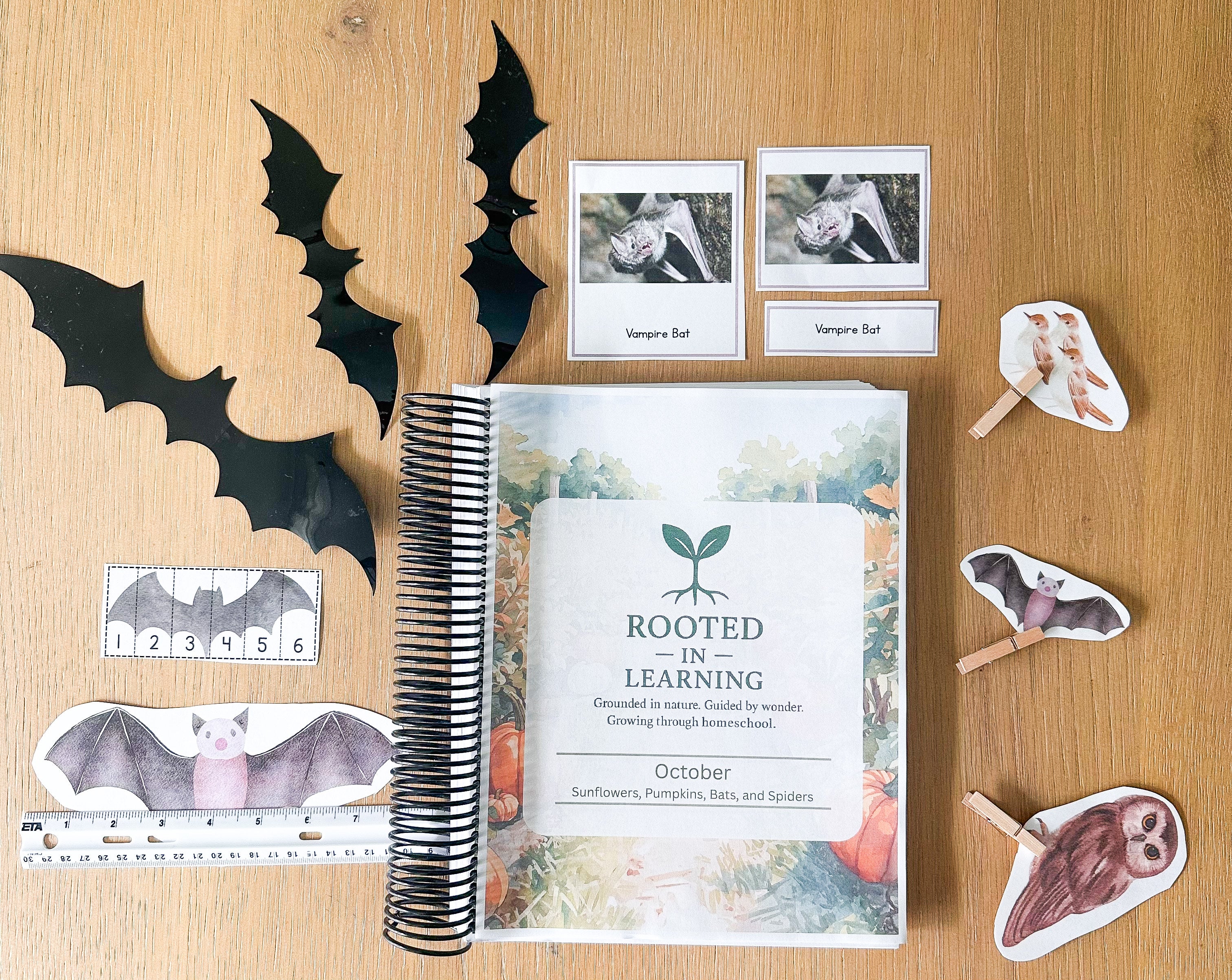 Rooted in Learning: October Curriculum