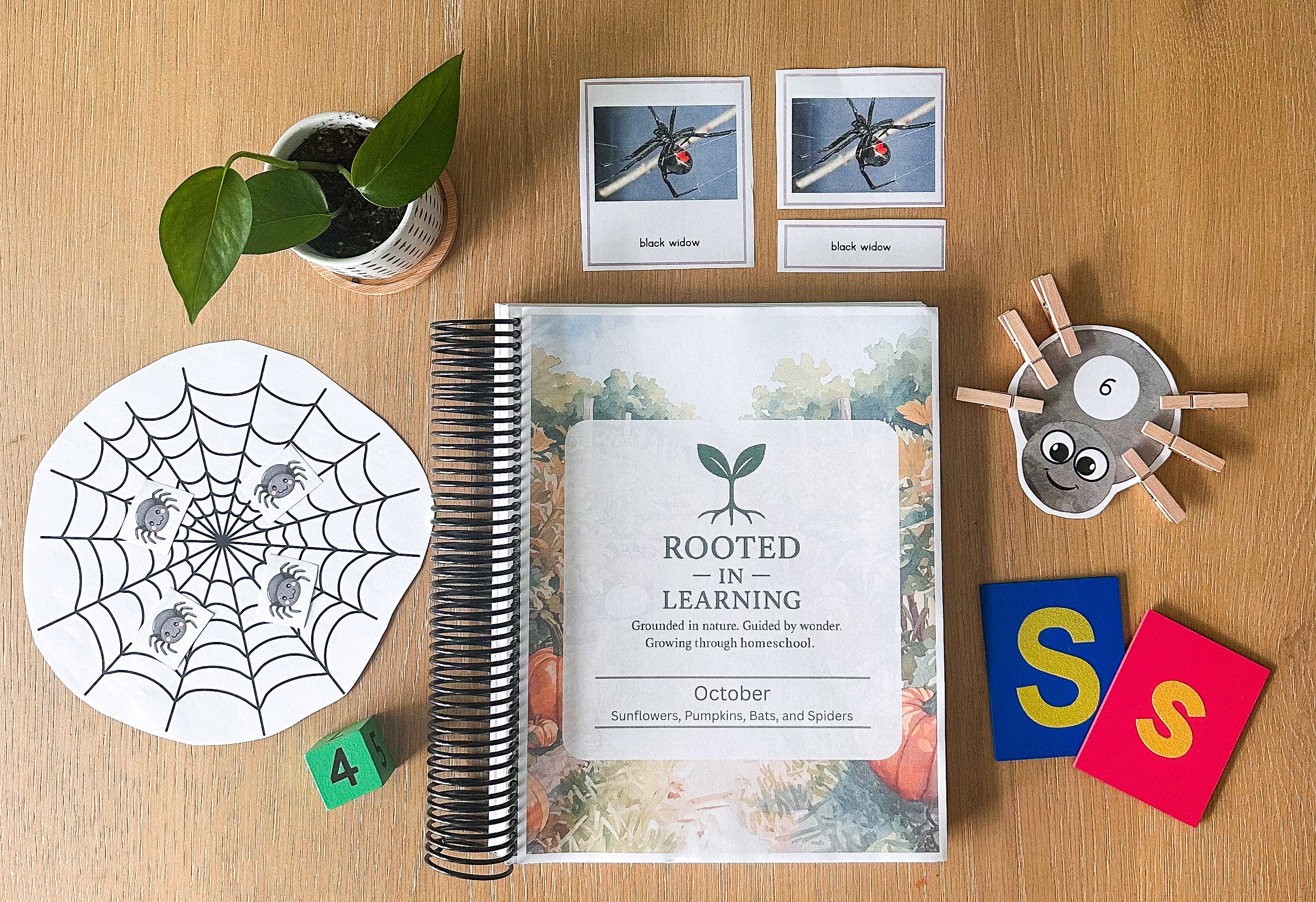 Rooted in Learning: October Curriculum