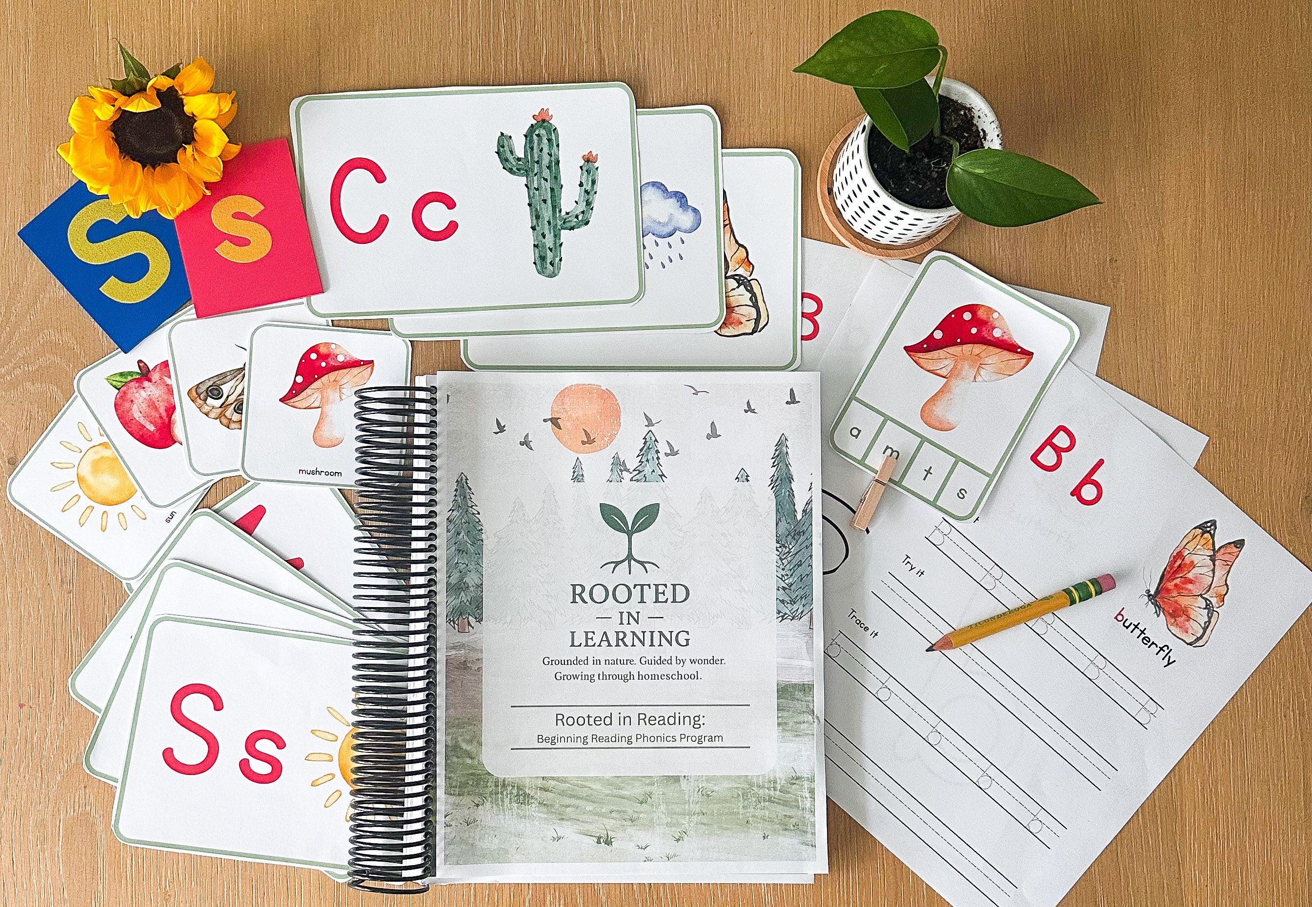 Rooted in Learning: November Curriculum