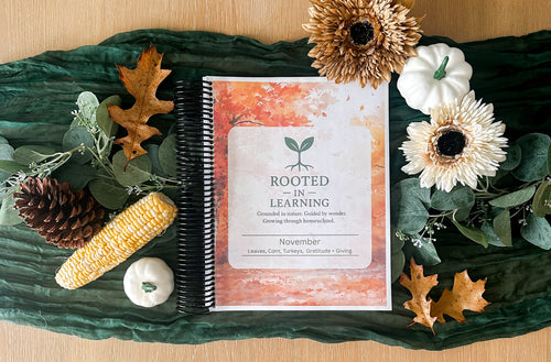 Rooted in Learning: November Curriculum