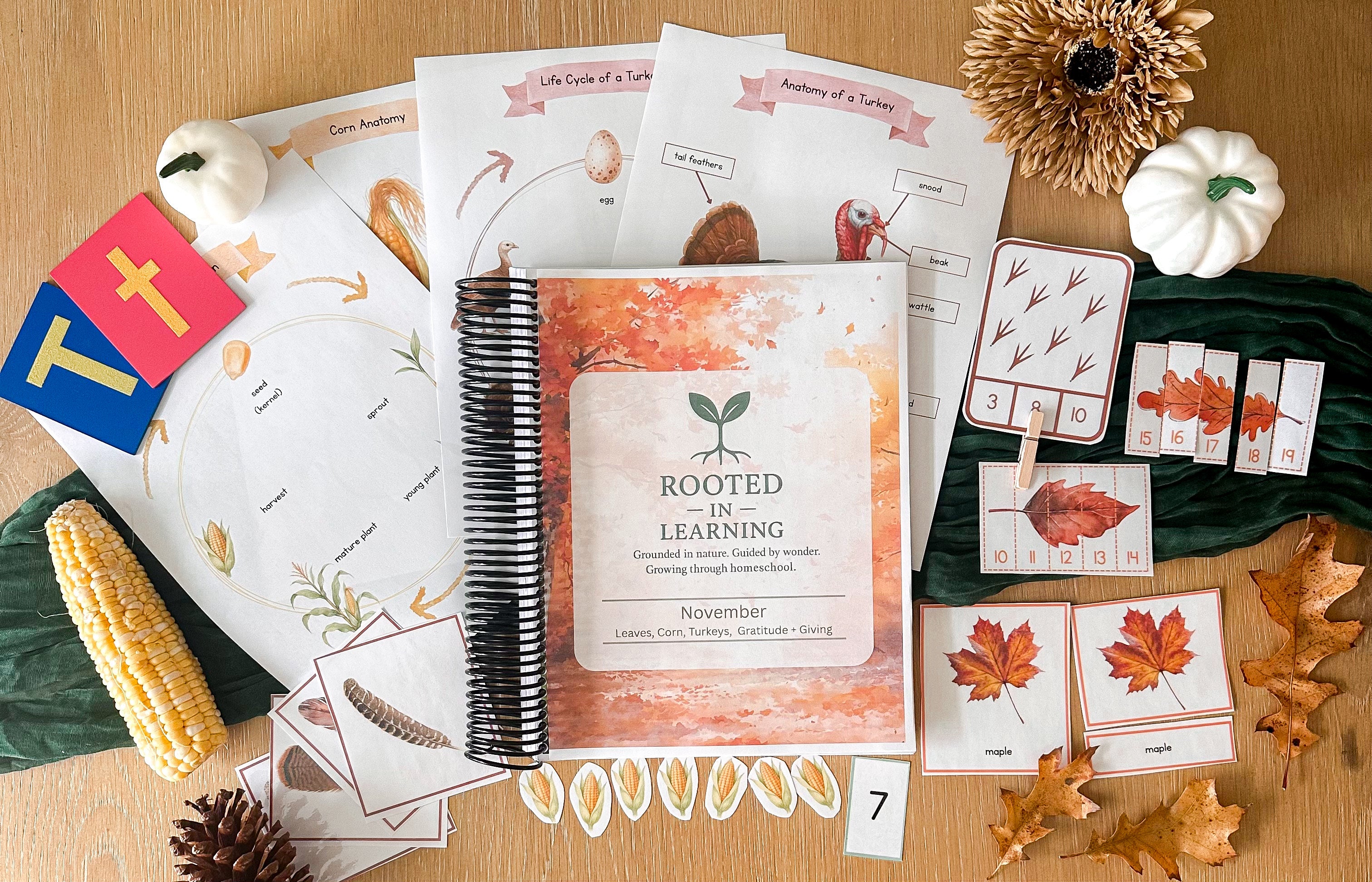 Rooted in Learning: November Curriculum