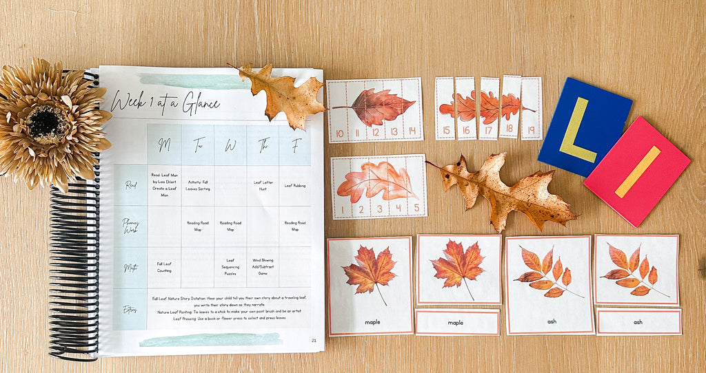 Rooted in Learning: November Curriculum