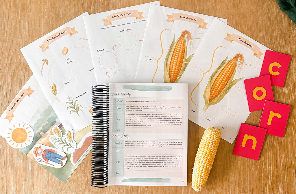 Rooted in Learning: November Curriculum