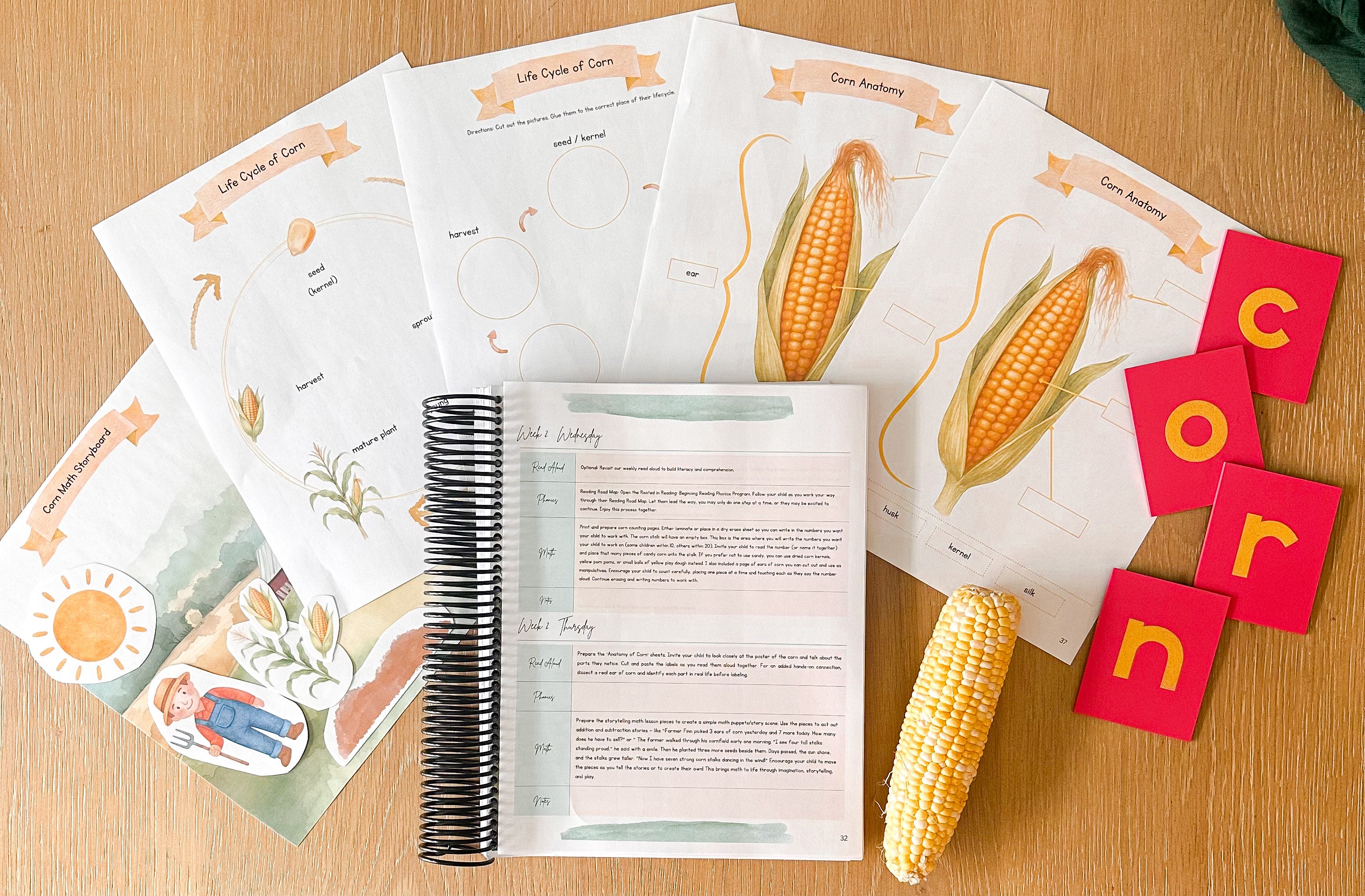 Rooted in Learning: November Curriculum