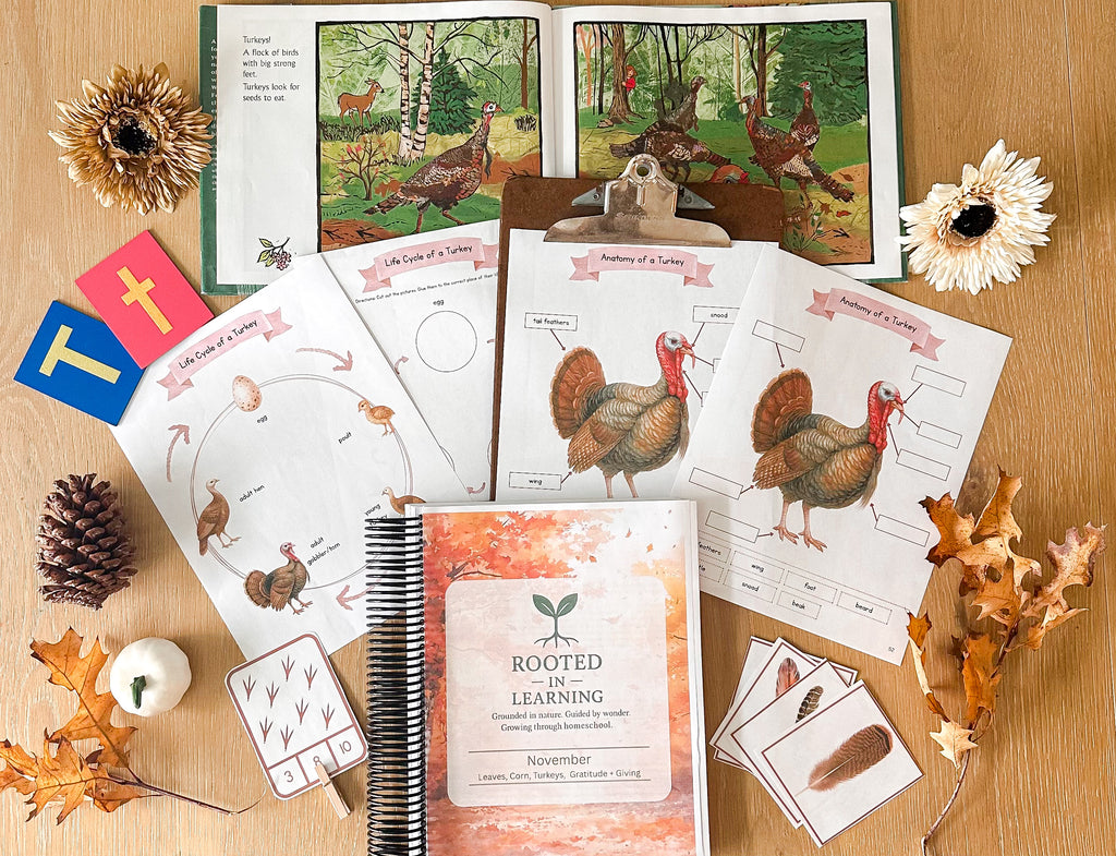 Rooted in Learning: November Curriculum