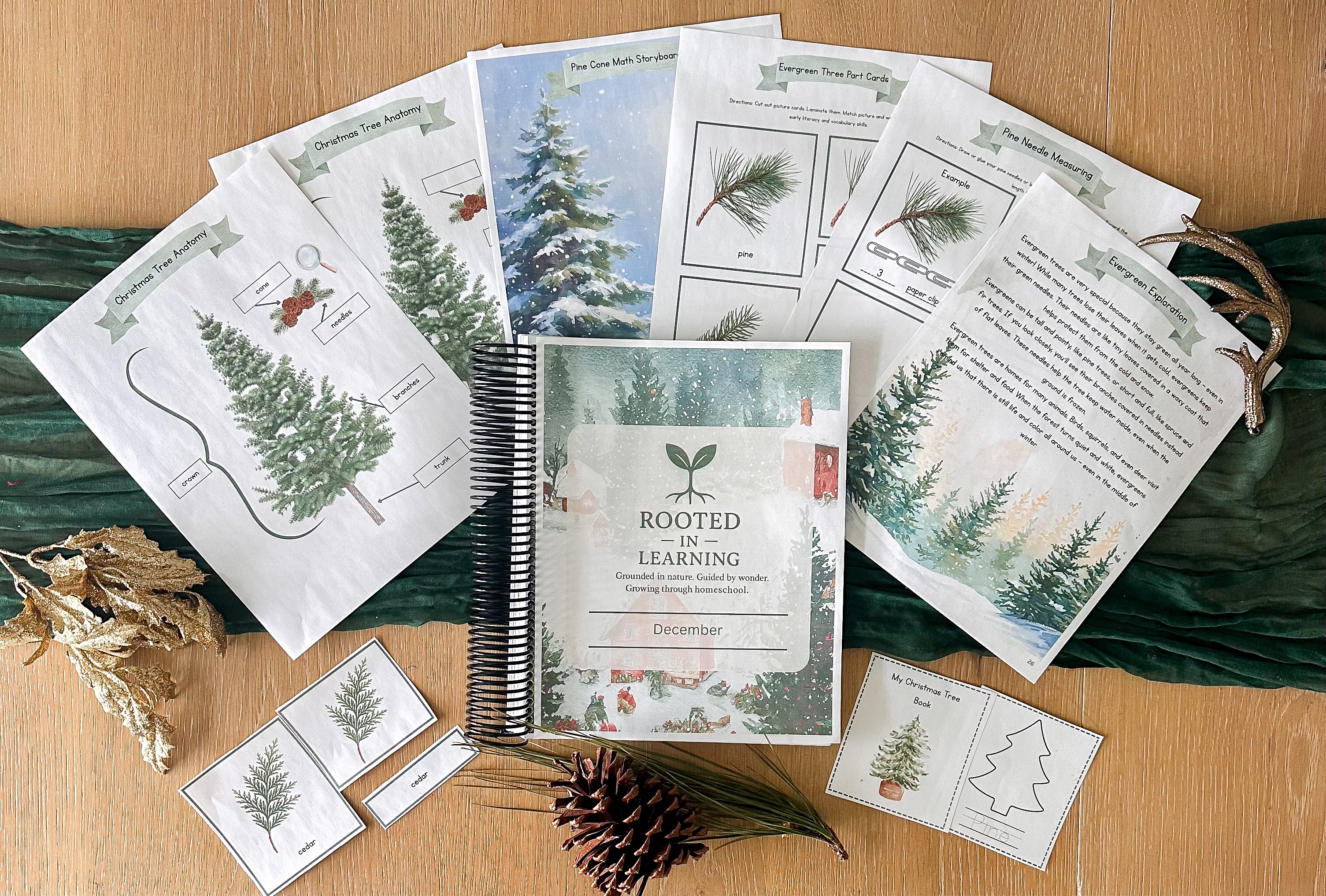 Rooted In Learning Sample Digital Curriculum