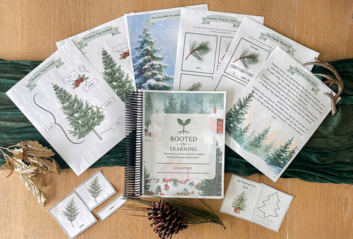 Rooted In Learning Sample Digital Curriculum