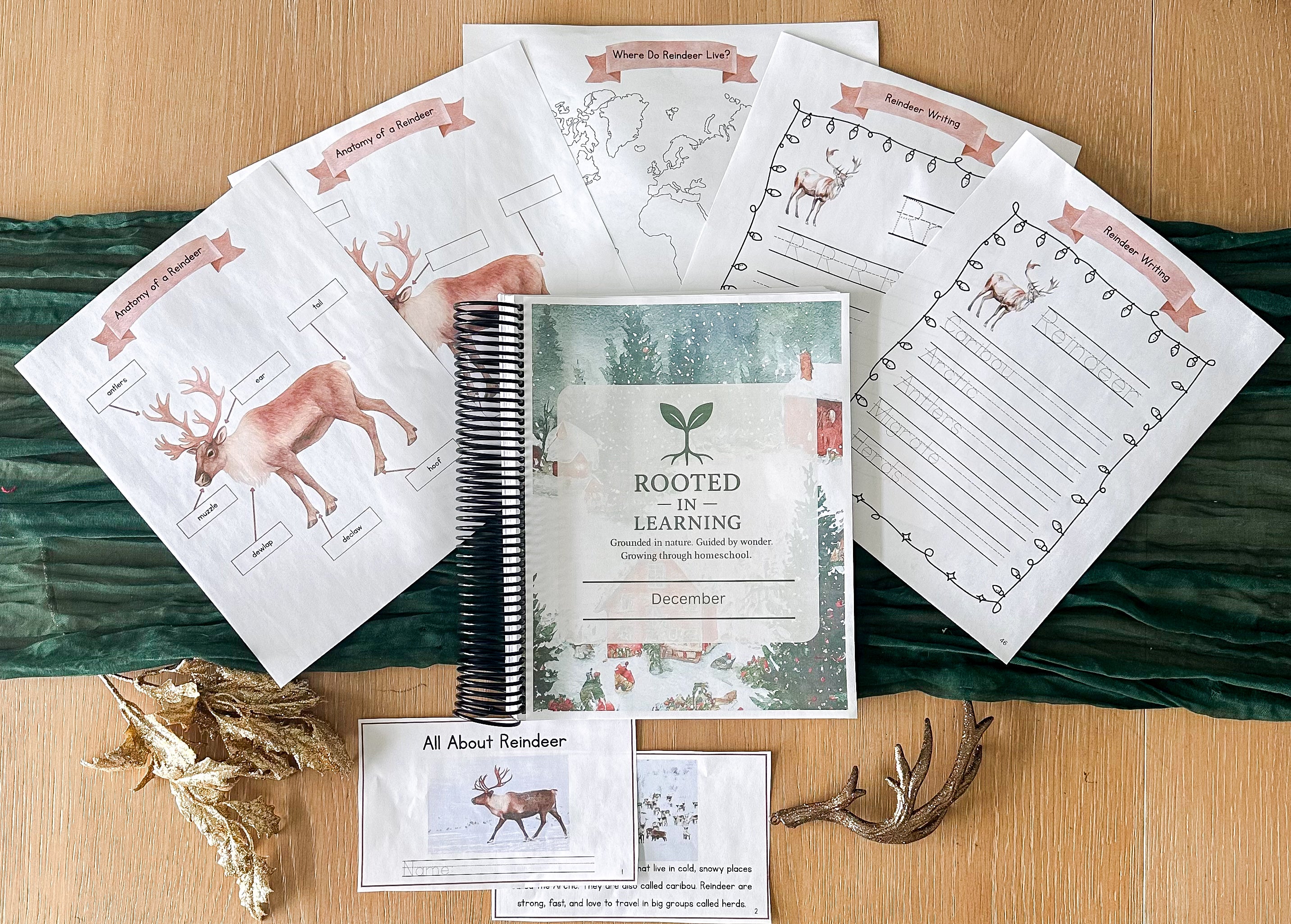 December Digital Curriculum